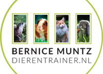 Bernice Muntz