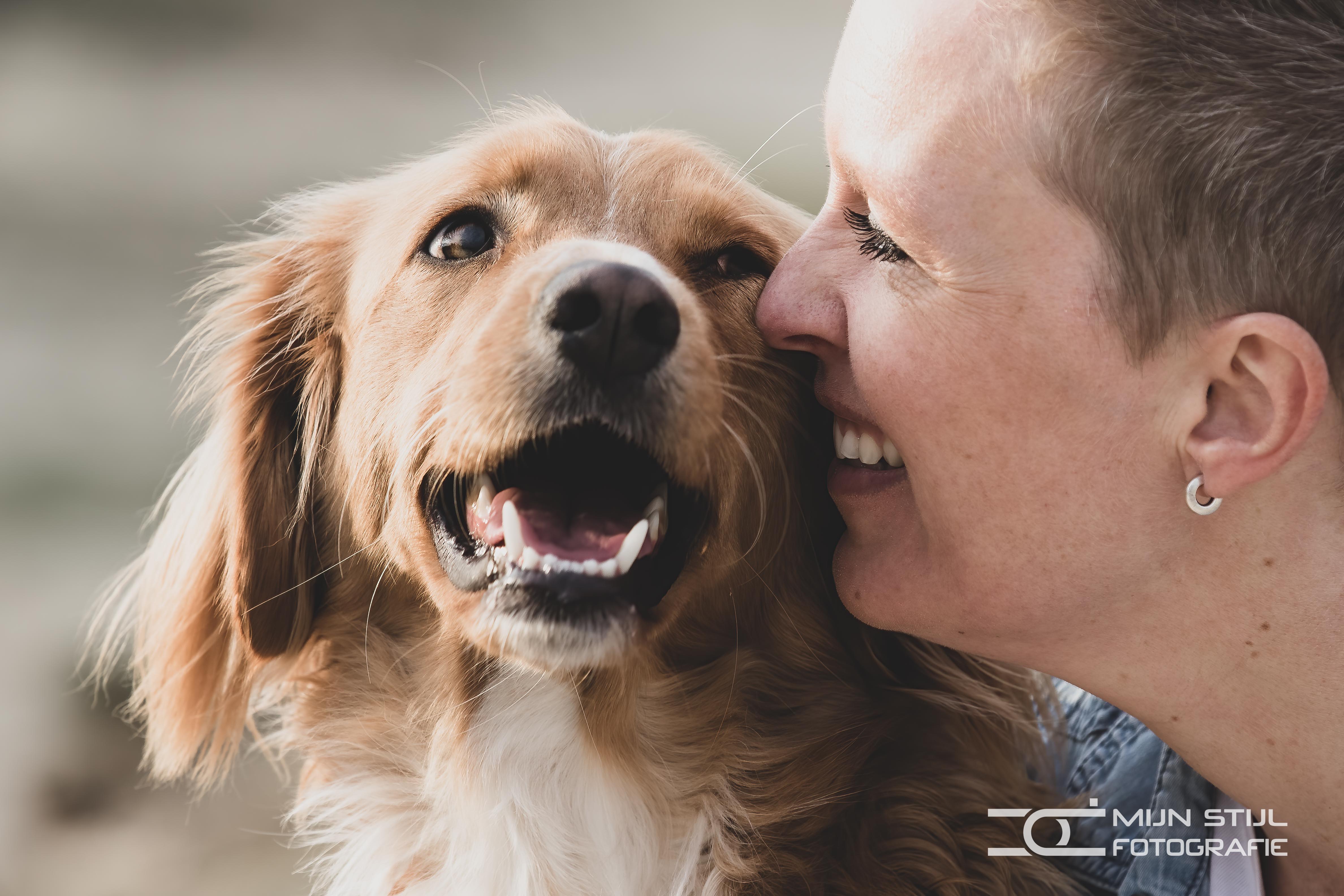 Een baasje geeft zijn vrolijke golden retriever een kus; een dierbaar moment van verbondenheid