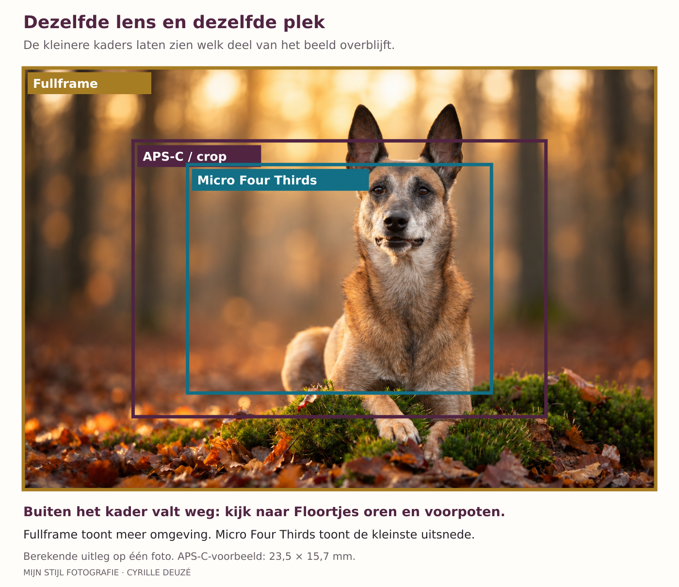 Floortjes bewerkte foto met berekende sensorkaders