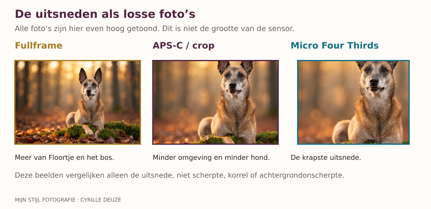 Floortje in drie uitsneden op dezelfde weergavehoogte
