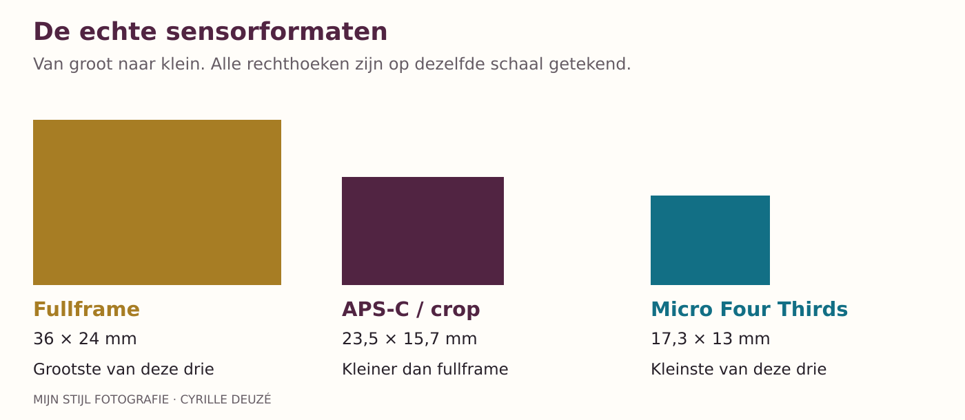 Fullframe is groter dan APS-C en Micro Four Thirds